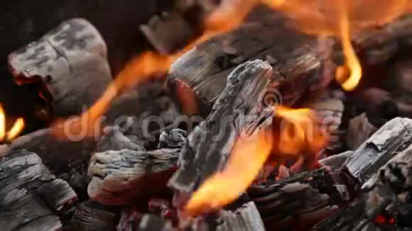 烧炭烧炭烧火烧烤架视频的预览图