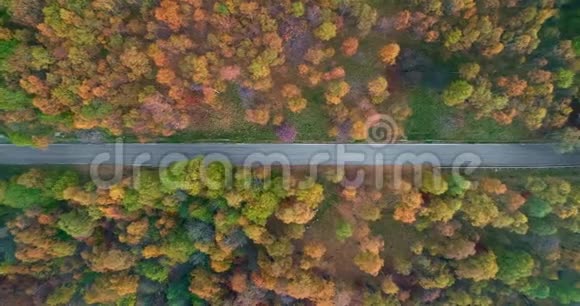 在五彩缤纷的乡村秋林中高空俯视道路橙色绿色黄色视频的预览图