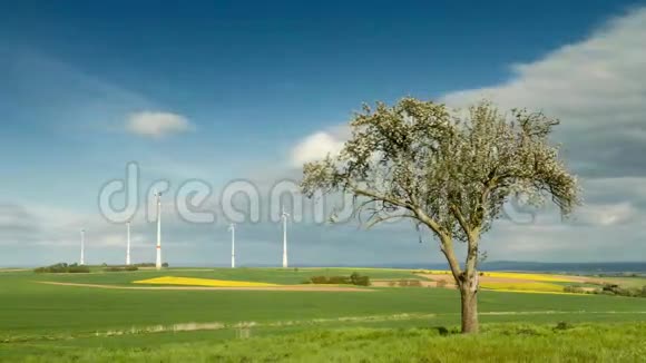 时间流逝苹果树和风力涡轮机的乡村景观视频的预览图