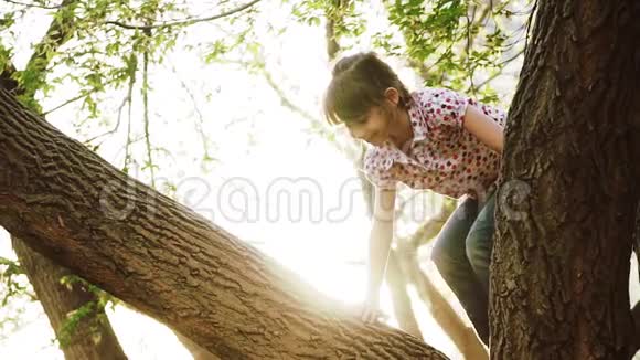快乐的孩子爬上了树女孩坐在树枝上微笑小孩子在公园里玩视频的预览图