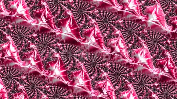 粉红色和白色改变抽象的花卉分形图案设计的抽象节日背景视频的预览图