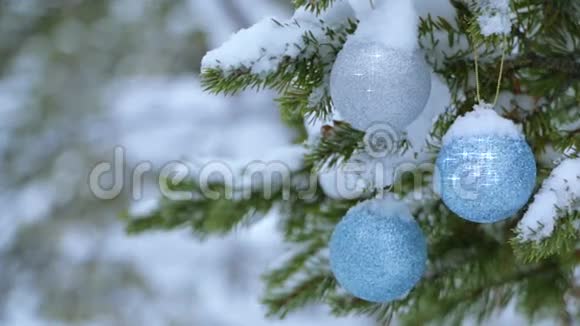 圣诞球在白雪覆盖的云杉上闪耀视频的预览图