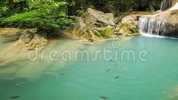 泰国Kanchanaburi省Neolissochilusstrachey鱼Erawan瀑布1级视频的预览图