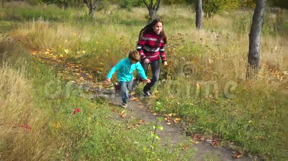 两个孩子在秋天的森林里奔跑视频的预览图
