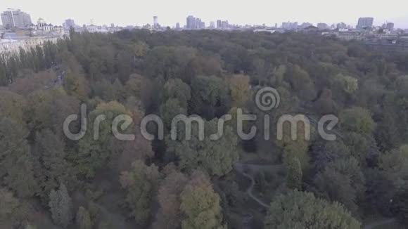 山顶绿林鸟瞰相机旋转混合树木和灌木丛山顶从上面可以看到自然景观视频的预览图