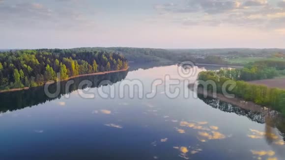 白俄罗斯纳拉汉斯基国家公园美丽的早晨视频的预览图
