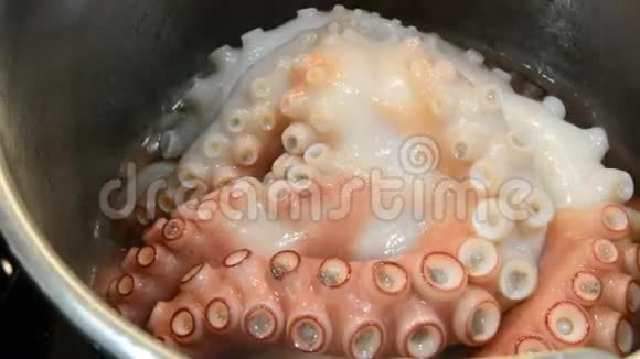 八爪鱼在锅里做饭视频的预览图