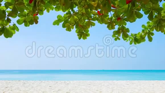 白色沙滩和边缘的热带植被视频的预览图