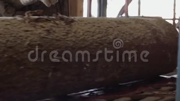 木材原木在木制品工厂的机器上运行金属圆锯视频的预览图