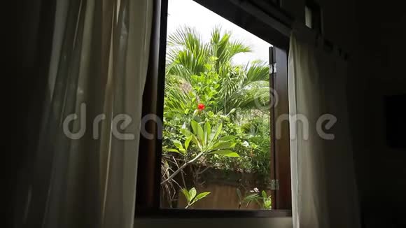 阳光明媚的一天从酒店窗户看到的异国棕榈树和灌木丛视频的预览图