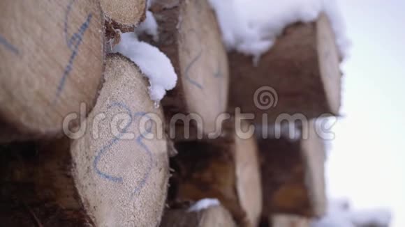锯木厂用数字标记覆盖在雪堆上的树木视频的预览图