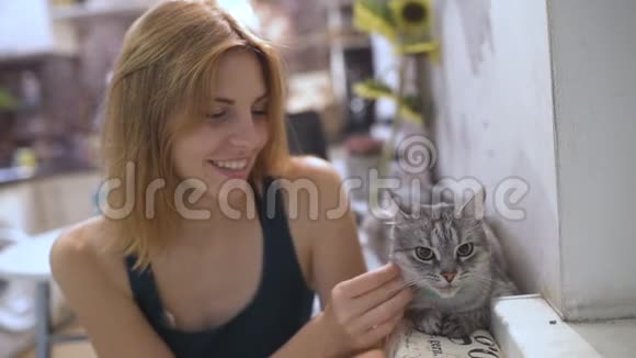 漂亮的年轻女人和家里的小猫宠物猫和年轻的主人一起放松视频的预览图