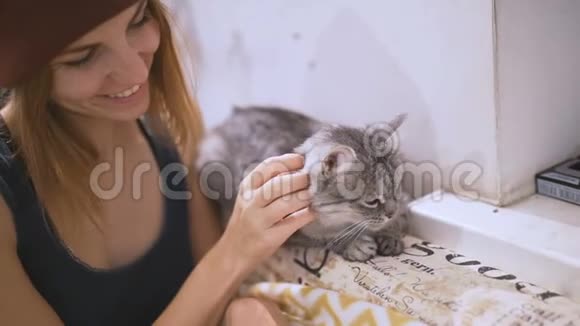 漂亮的年轻女人和家里的小猫宠物猫和年轻的主人一起放松视频的预览图