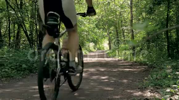 运动员男子骑自行车穿过森林健康的生活方式视频的预览图