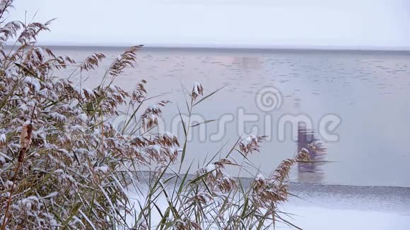 冬天美丽的景色冰封的湖水冰雪的倒影视频的预览图