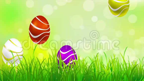 兔子复活节彩蛋和蝴蝶视频的预览图