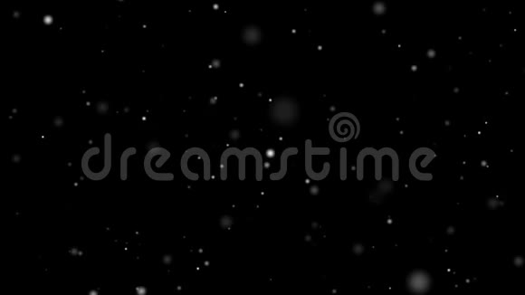 冬雪从天而降雪隔离黑色背景运动图形构成元素随机雪域大小视频的预览图