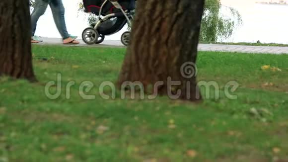 带着婴儿车在公园里散步视频的预览图