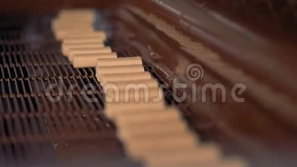 巧克力糖果的生产过程特写镜头视频的预览图