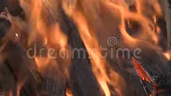 在炉子或壁炉里烧木头剪辑片段4K超高清视频的预览图