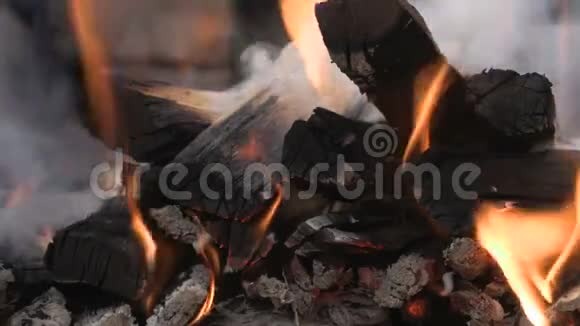 在炉子或壁炉里烧木头剪辑片段4K超高清视频的预览图