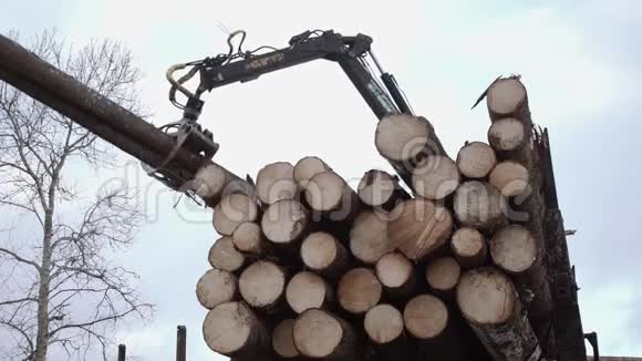 起重机臂从锯木厂的卡车上捡起木头视频的预览图