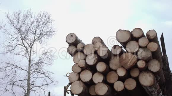 鹤爪从锯木厂的卡车上举起木头视频的预览图