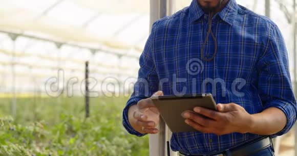男子使用数字平板电脑蓝莓农场4k视频的预览图