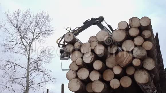 吊车臂在锯木厂从卡车上举起木头视频的预览图