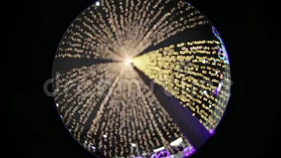 公园里夜晚喜庆的圣诞照明光学效应视频的预览图