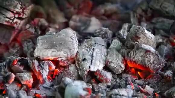 火焰在热煤上跳舞视频的预览图