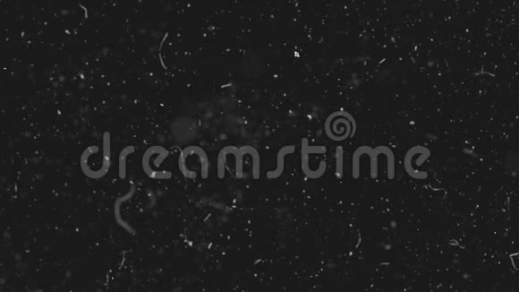 白色尘埃粒子在黑色背景下在空间中缓慢移动抽象粒子运动背景慢动作视频的预览图