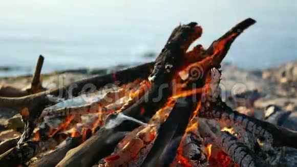 篝火落日河视频的预览图