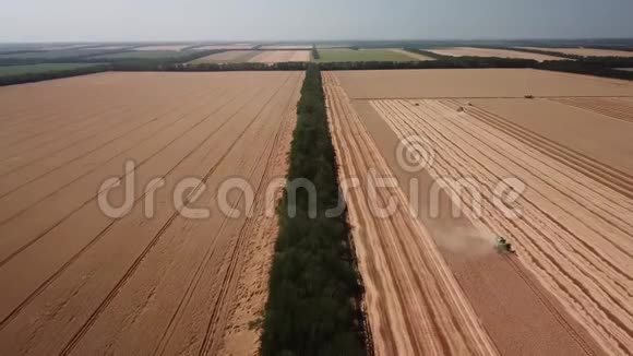 俄罗斯2019年7月联合收获农业机械收集金熟的鸟瞰图视频的预览图