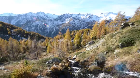意大利阿尔卑斯山杜林秋季的小溪瀑布有红色的落叶松树林室外自然景观视频的预览图