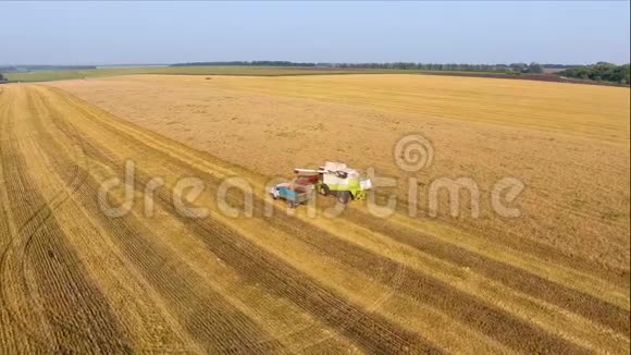 联合灌装车小麦的鸟瞰图视频的预览图