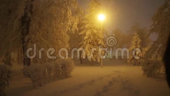 人走在白雪皑皑的小路上夜晚在冬天的公园里视频的预览图