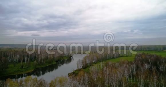 秋天的白桦林和空中的河景视频的预览图