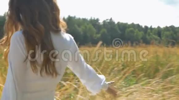 一个穿着白色连衣裙的女人带着小麦沿着田野走着慢动作视频的预览图
