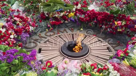 荣耀公园永恒之火附近的花朵视频的预览图