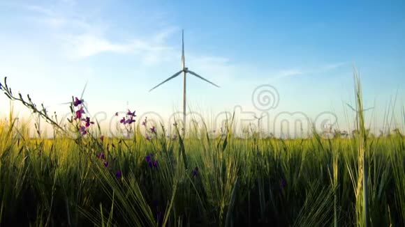小麦绿田电力生产风力发电机组视频的预览图