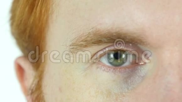 红发胡子人眨动绿眼闭上眼睛视频的预览图