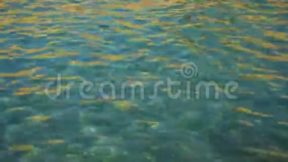 清澈海水的美丽质感视频的预览图