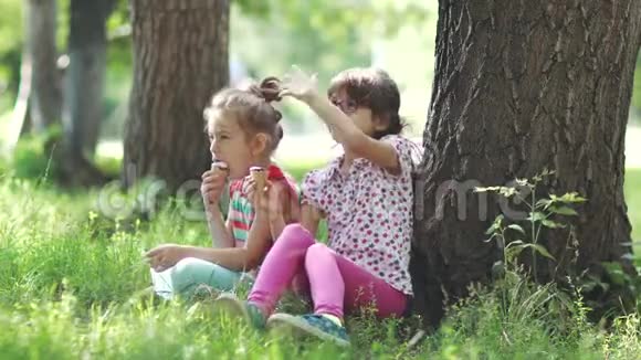 孩子们坐在夏天公园的草地上交谈两个小女孩吃冰淇淋享受夏日视频的预览图