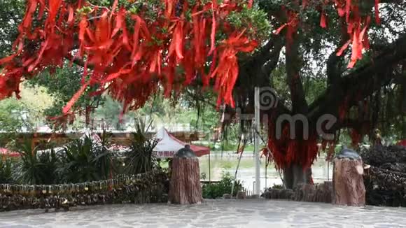 中国人民把圣旗挂在圣树枝上在花园里祈祷视频的预览图