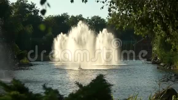 池塘里的喷泉视频的预览图