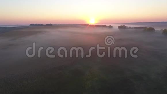 美丽的鸟瞰道路与驾驶汽车早晨的田野覆盖雾在日出乌克兰视频的预览图