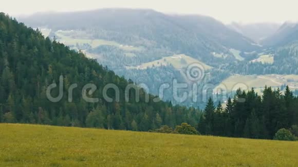 观奥地利阿尔卑斯山的山谷山谷中许多房子被群山环绕白人家庭视频的预览图