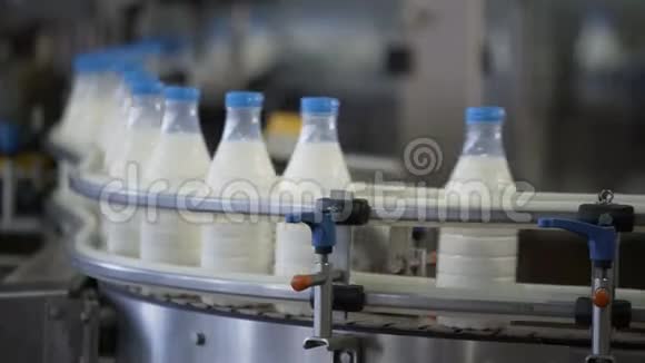 在输送线上包装牛奶瓶乳制品厂的包装线食品工业牛奶生产厂视频的预览图