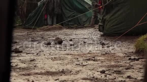乞力马扎罗营地在马查姆公路威士忌上下雨视频的预览图
